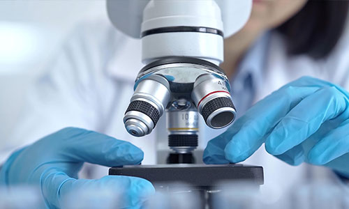 PROTAC<sup>®</sup> Design Services