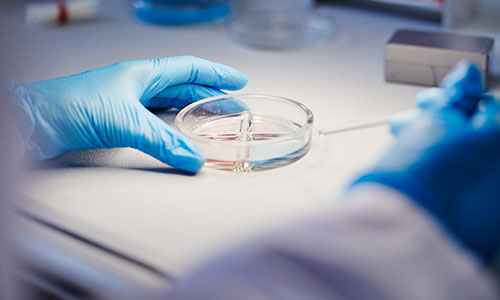 PROTAC<sup>®</sup> <em>In Vitro</em> Evaluation