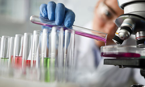 PROTAC<sup>®</sup> <em>In Vivo</em> Evaluation