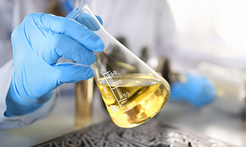 Custom Protein Expression & Purification