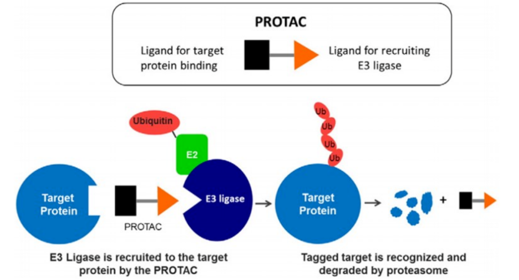 PROTAC technology 