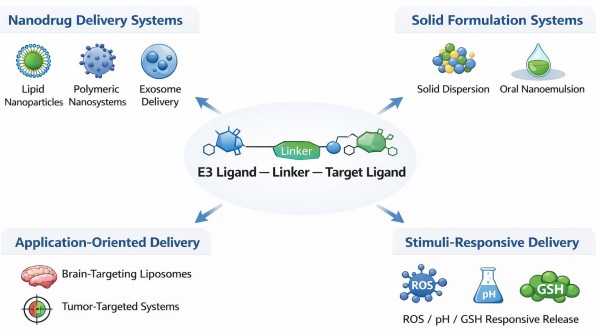 Illustration of major PROTAC delivery strategies and system types