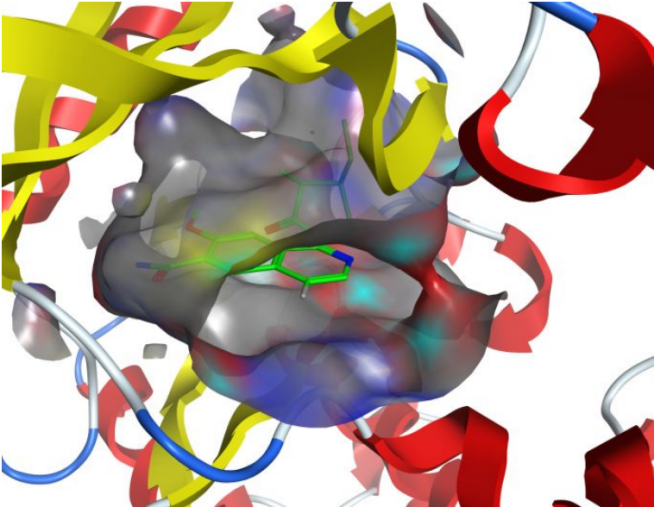 Co-crystal structure of inhibitor with IRAK4 kinase domain 