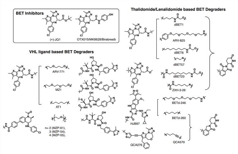 BET-PROTAC degraders