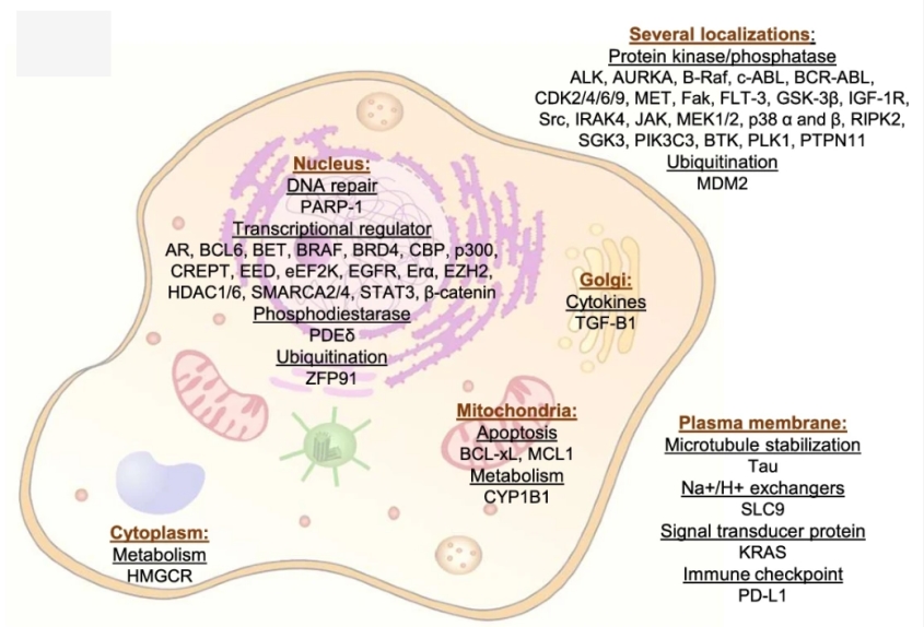 The targets and the functions they are involved in