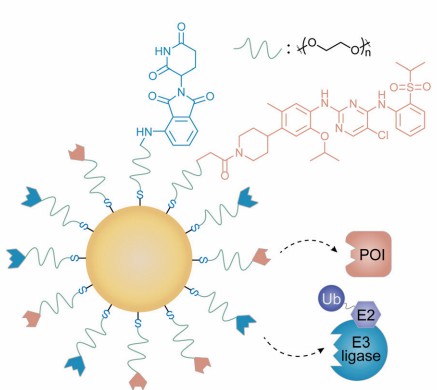 The depressant nanoparticles Cer/Pom-PEG@GNP