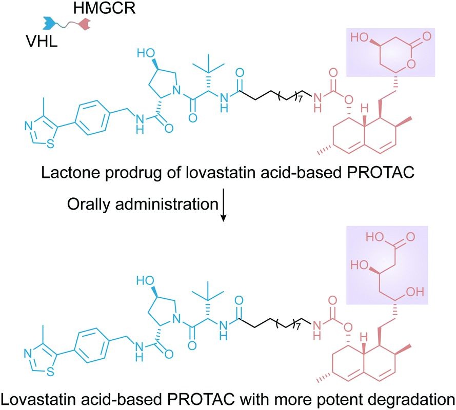 The structure of HMGCR-targeting PROTAC