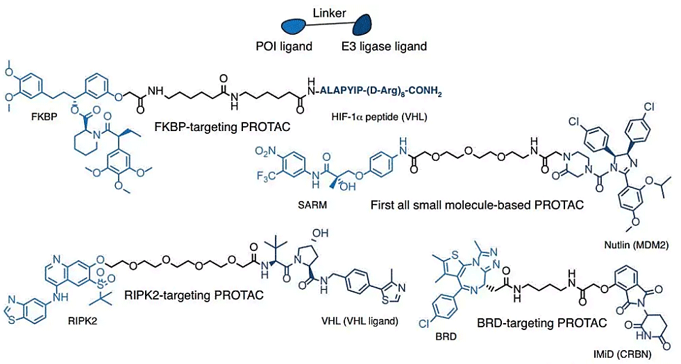 Ligand Design for E3 Ligase