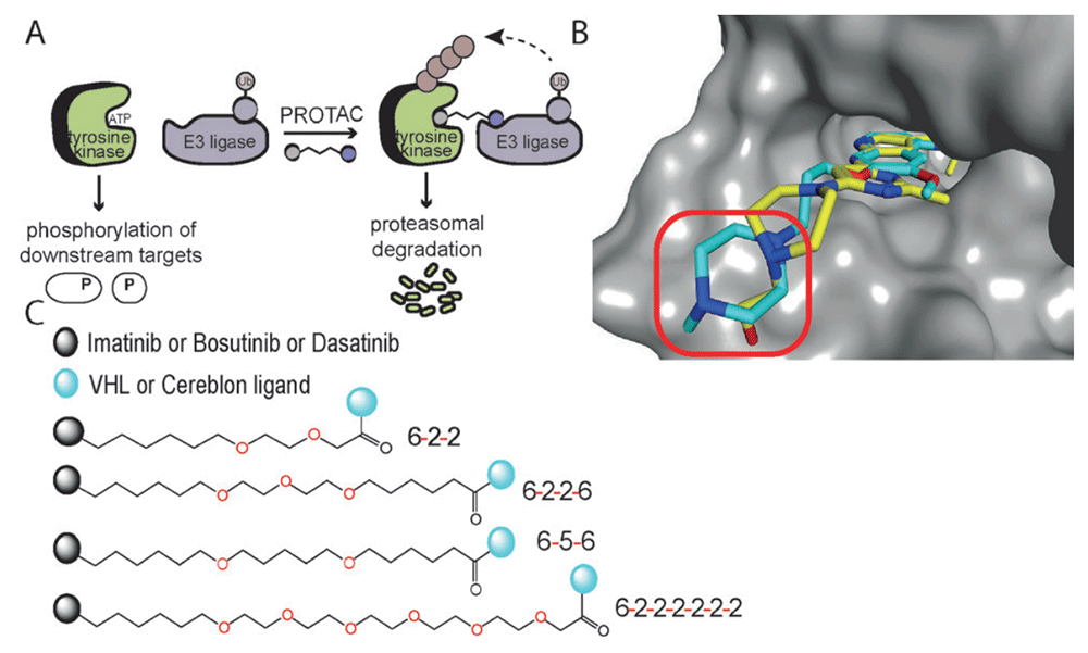 Ligand Design for Target Protein