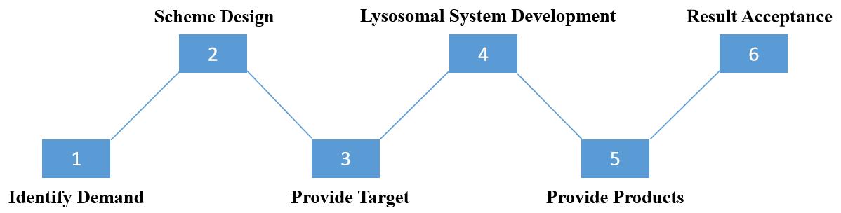 Project Workflow