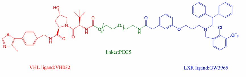 The structure of PROTAC targeting LXR