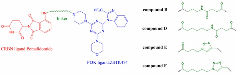 The structure of PROTAC targeting PI3K