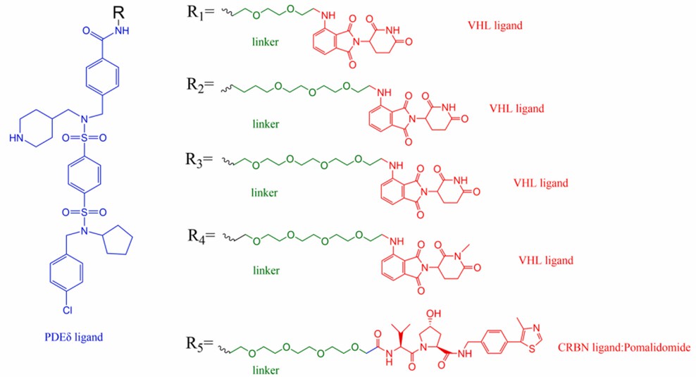 The structure of PROTAC targeting PDEδ