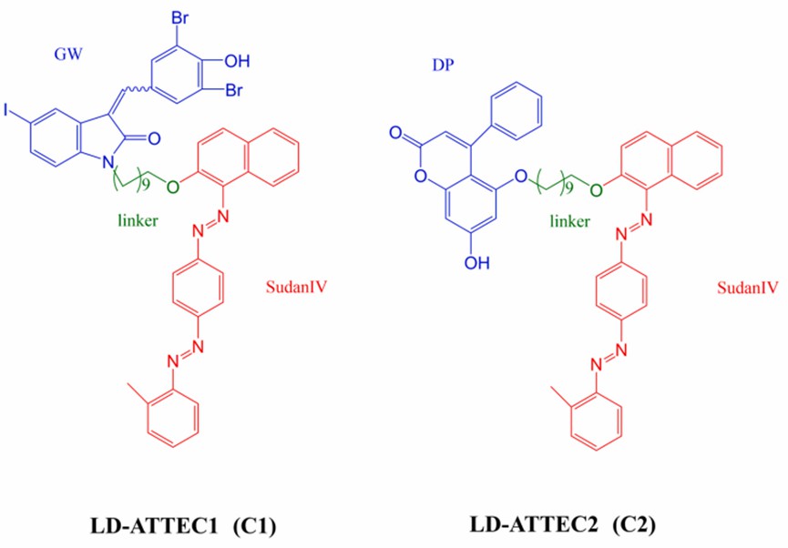 The structure of ATTEC targeting lipid droplets