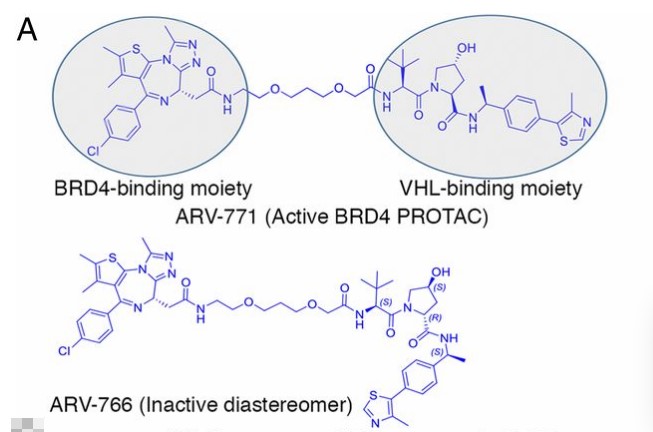 ROTAC diastereomer Design