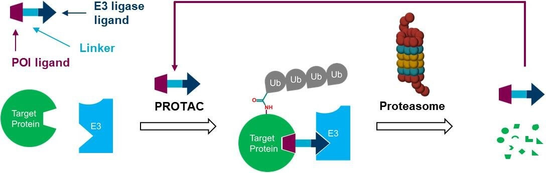 Protac<sup>®</sup> Linker