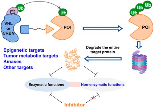 PROTAC technology targeting enzyme structure