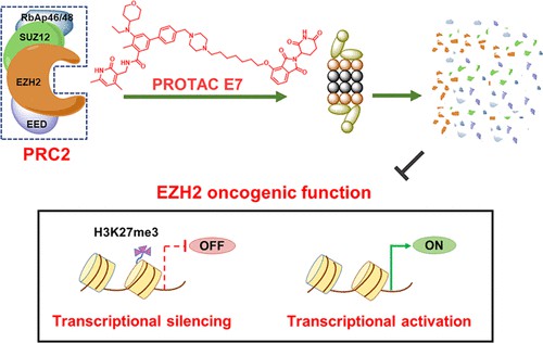 The structure of PROTAC 1 targeting EZH2