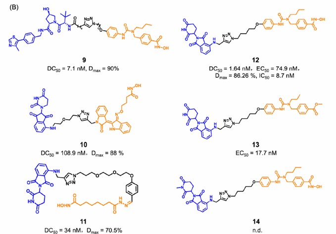 The structure of PROTACs targeting HDAC6