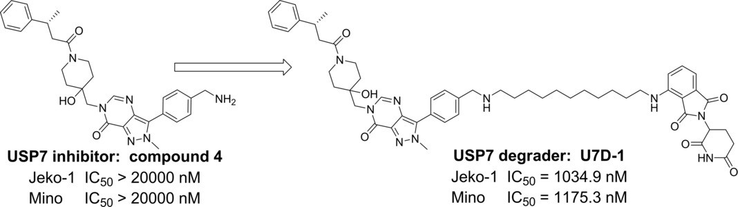 The structure of PROTAC U7D-1 targeting USP7