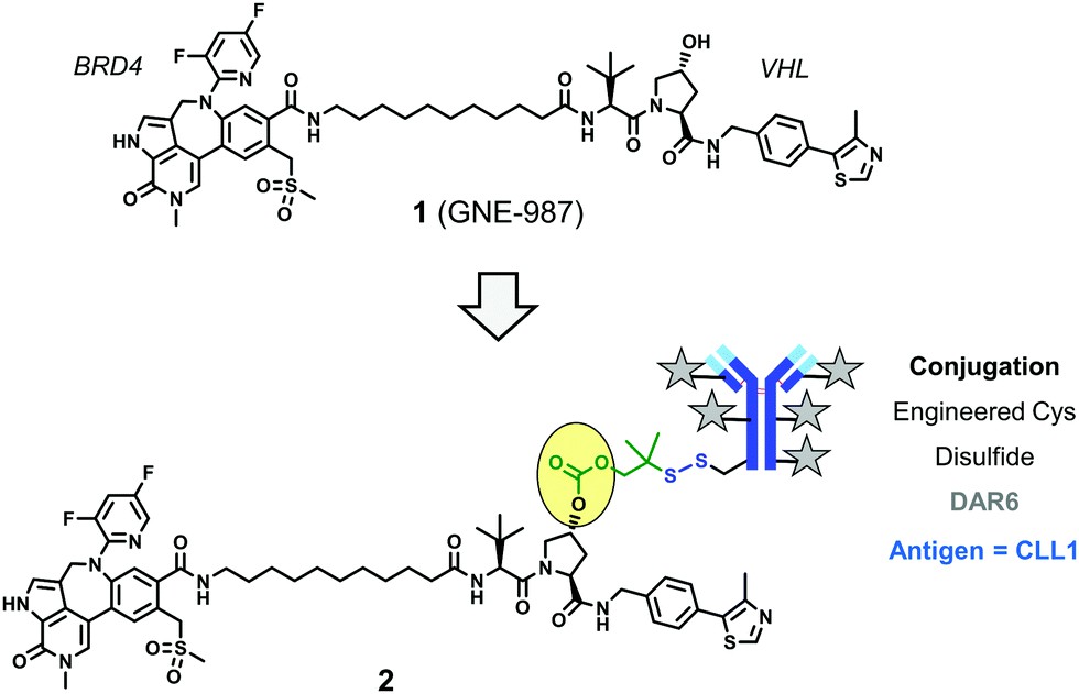 BRD4-targeting DAC, disulfide bond linker