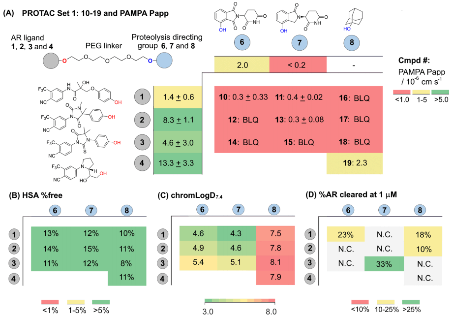 (C) The targeted structure of protein hydrolysis. The linker junction is marked with blue to show the binding diagram of; (D) Schematic diagram of the combination of lenalidomide and Cereblon; (E) Schematic diagram of the combination of lenalidomide and Cereblon