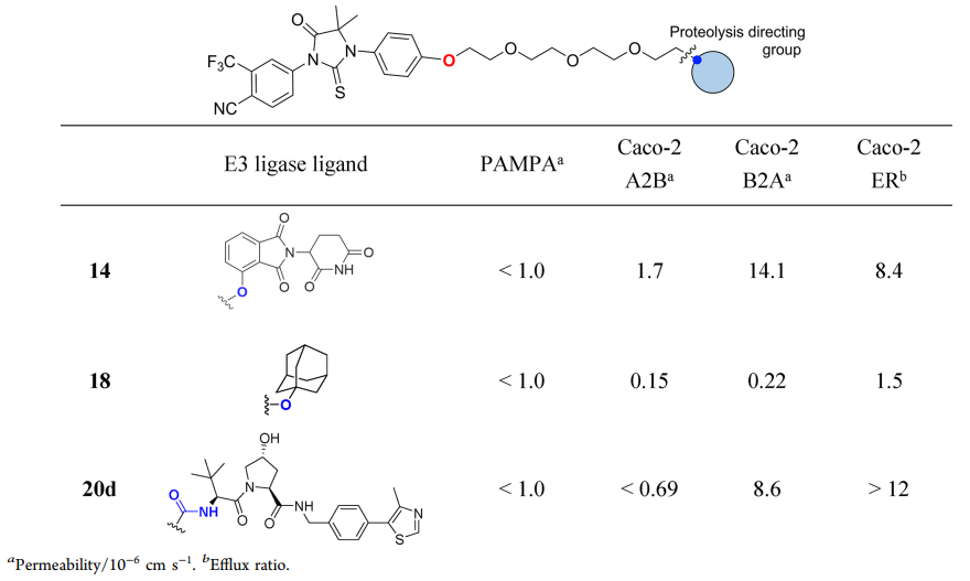 Study on the permeability of androgen receptor Protacs molecules