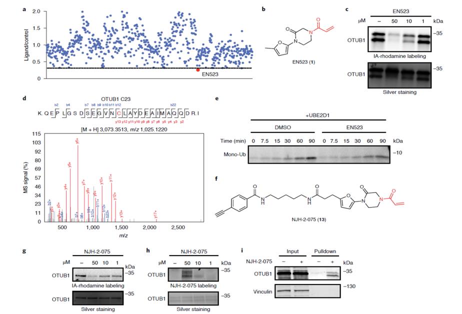 Discovery of covalent ligands targeting OTUB1