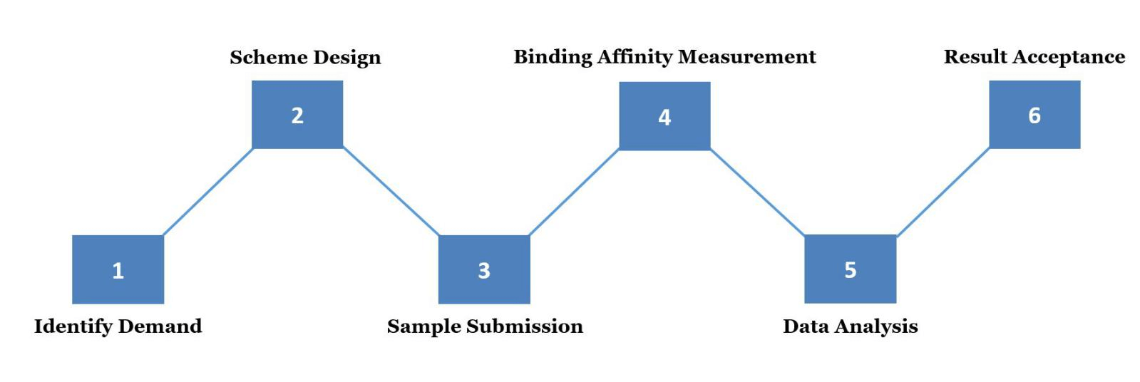 Binding Affinity Measurement