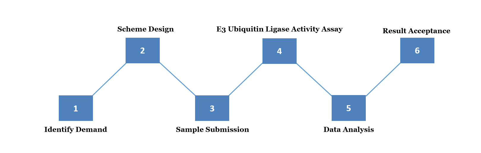 E3 Ubiquitin Ligase Activity Assay