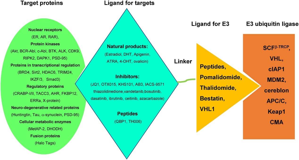 Ligand for E3 Ligase