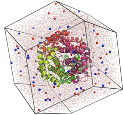 Molecular Dynamics Simulation